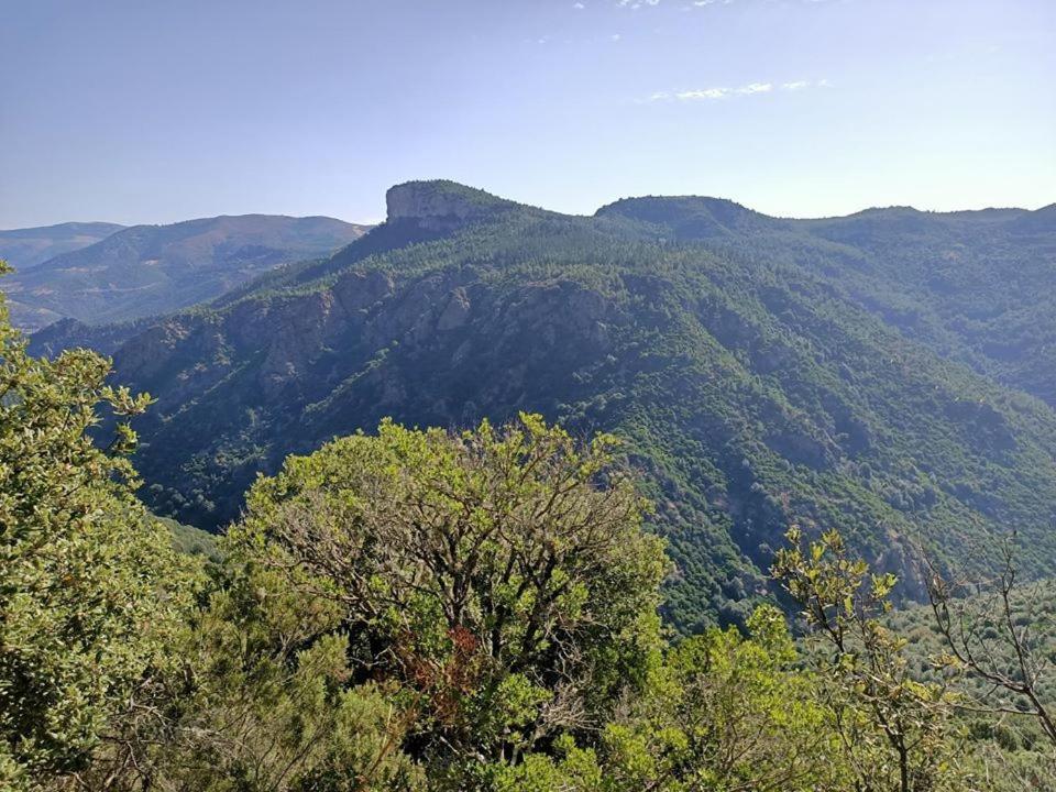 Sa Stiddiosa Guesthouse Gadoni 외부 사진
