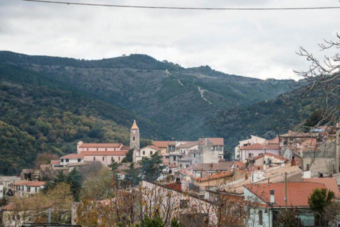 Sa Stiddiosa Guesthouse Gadoni 외부 사진